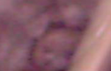 METAVISIONE. Foto di un neonato, scattata alla Floorcastles House METAVISIONE. Foto di un neonato, scattata alla Floorcastles House