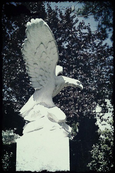 L'aquila guardiana del Pet Cemetery L'aquila guardiana del Pet Cemetery